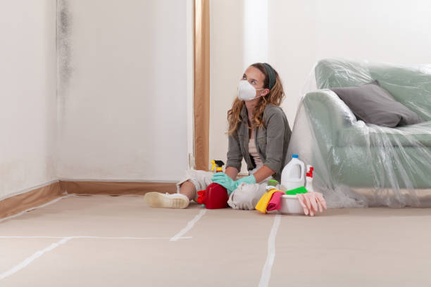 Reliable Mold Remediation contractor in Hampstead, NC by 24 Hour Mold Removal